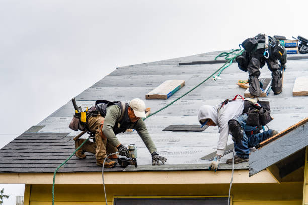 Professional Storm Damage Roof Repair technician working in Lackey, VA